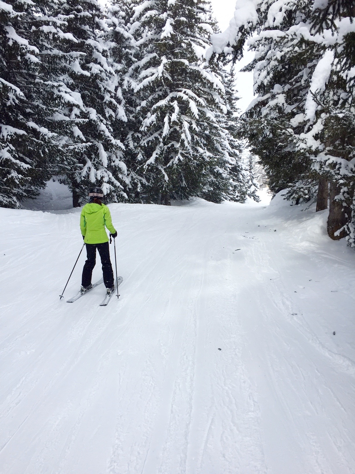fashionable down hill ski look