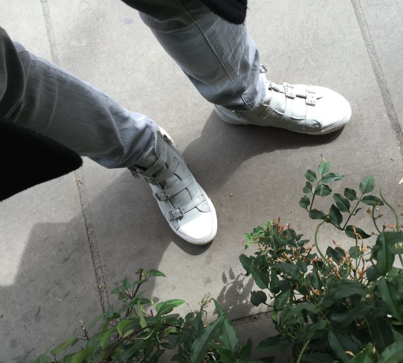 ash sneakers at the ivy