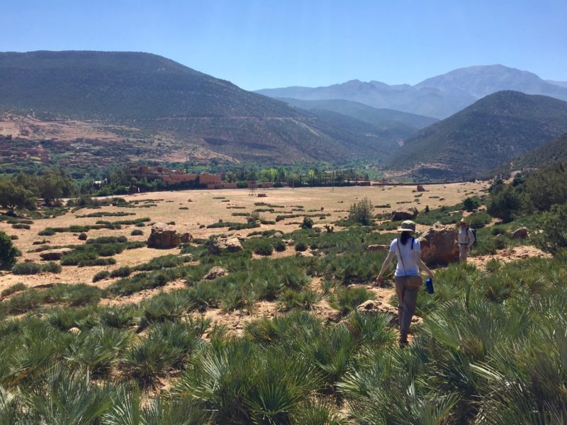morocco atlas mountains trek