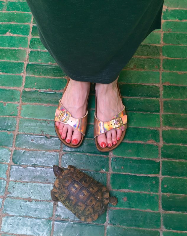 birkenstock at le jardin marrakesh
