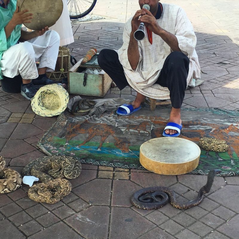snake charmer in the big square marrakesh