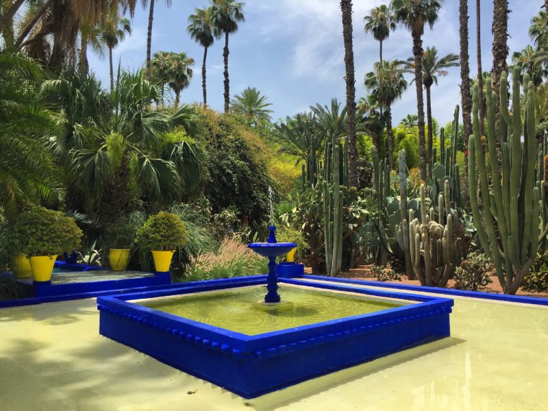 jardin majorelle marrakesh