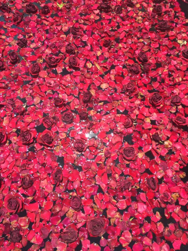 kasbah tamadot rose pool