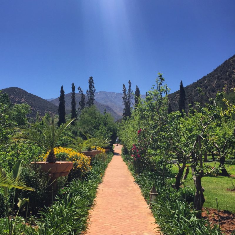 kasbah tamadot gardens