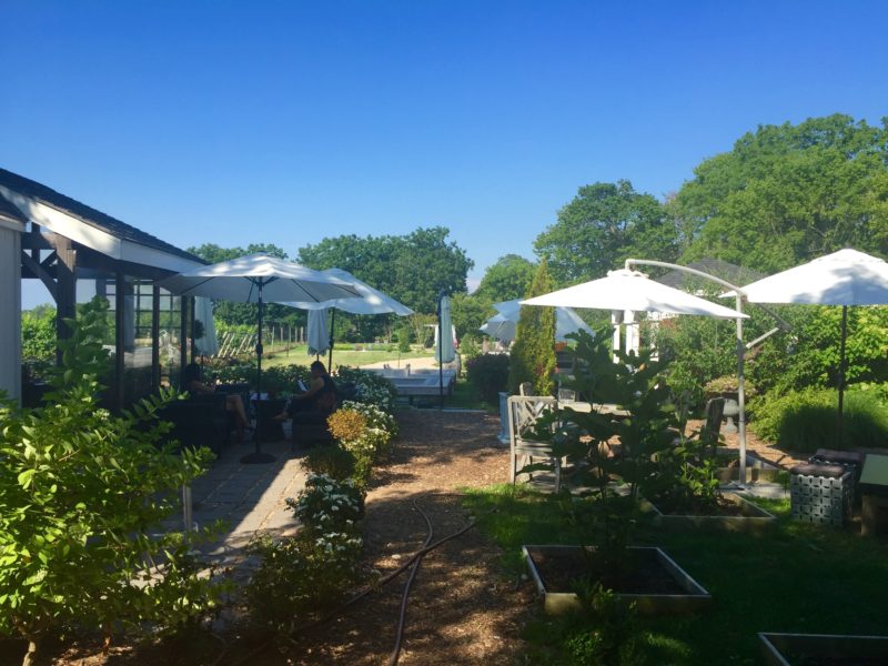 long island vineyard mattabella