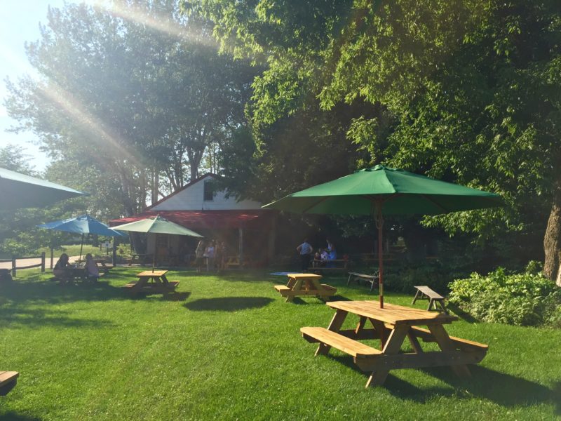 long island vineyard mccall
