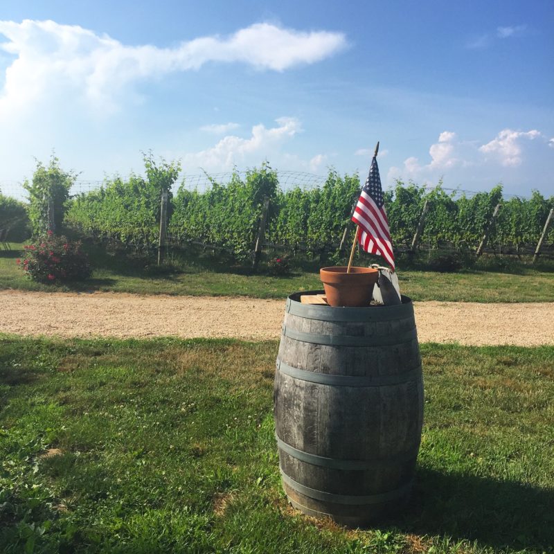 long island vineyard marabella