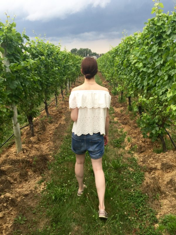 long island vineyard sparkling point
