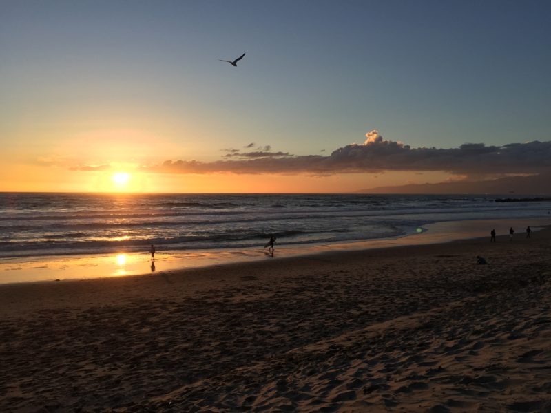 venice beach
