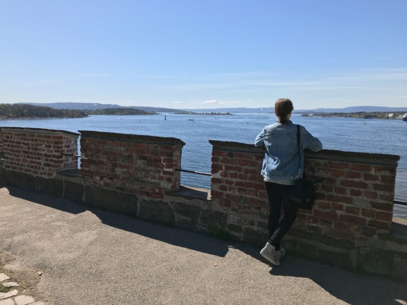 oslo view