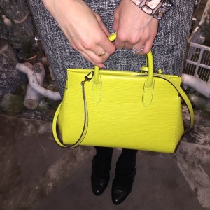 Louis Vuitton bag