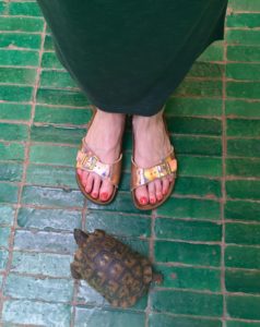 birkenstock at le jardin marrakesh