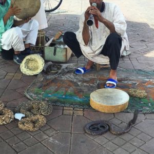 snake charmer in the big square marrakesh