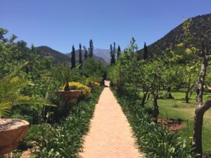 kasbah tamadot garden