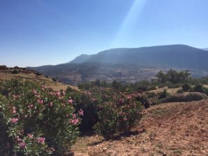 morocco atlas mountains trek