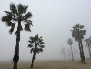 santa monica