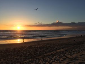 venice beach