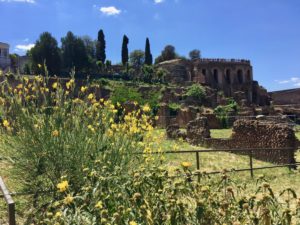 roman forum
